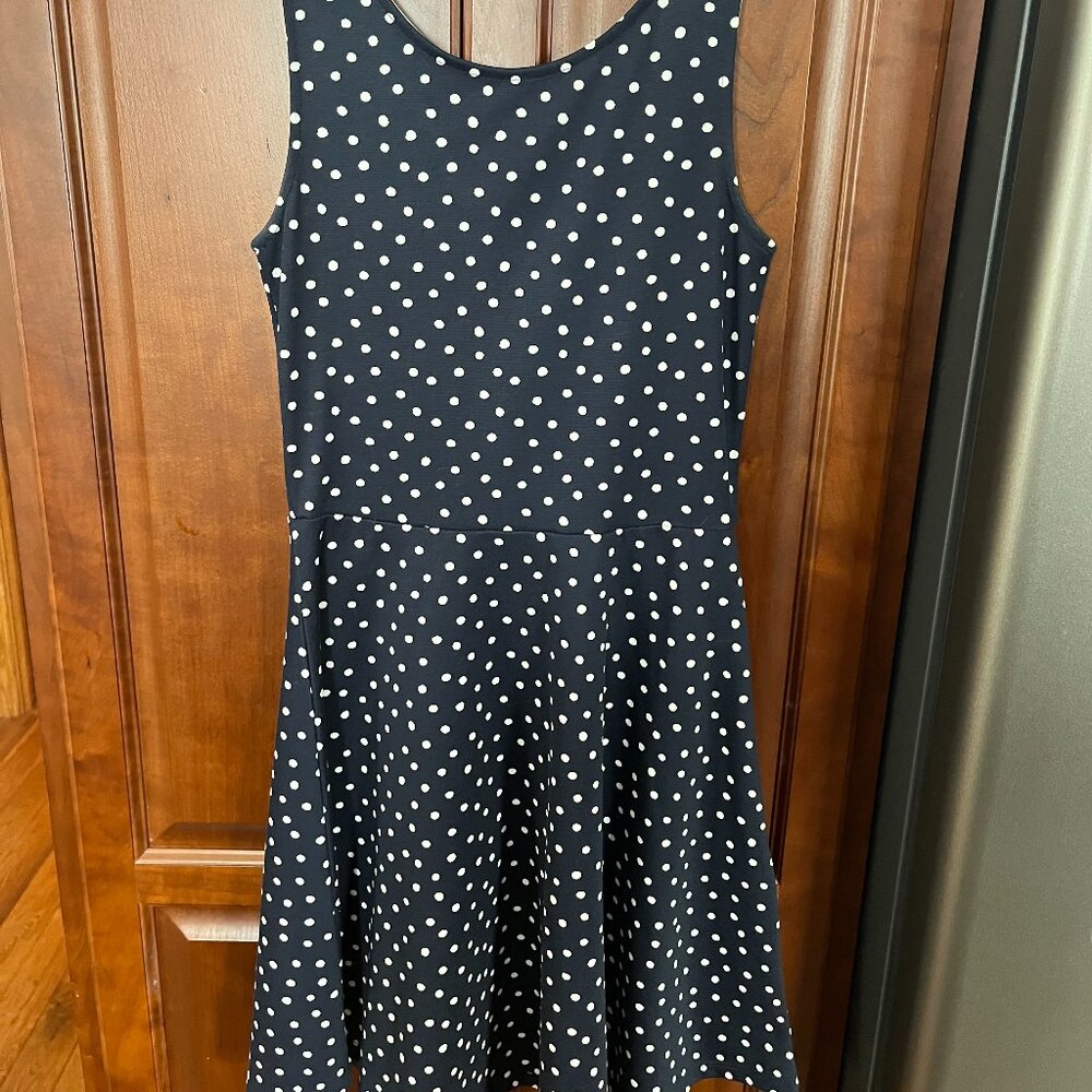 Navy and White Polka Dot Skater Dress